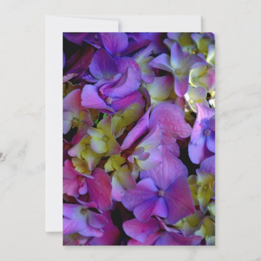 Elegante Magenta Paarse Hydrangea bloemenbruiloft Kaart (Achterkant)