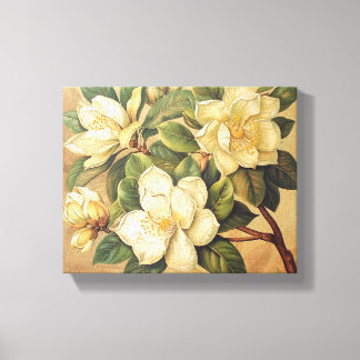 Elegante Magnolia Bloesems Muurkunst Canvas Afdruk