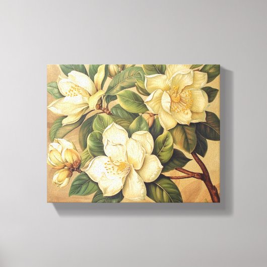 Elegante Magnolia Bloesems Muurkunst Canvas Afdruk (Voorkant)