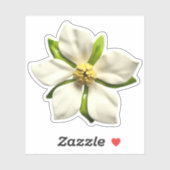 Elegante Magnolia Blossom Bloem Bruiloft Sticker (Vel)