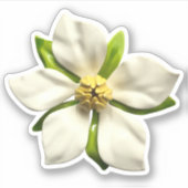 Elegante Magnolia Blossom Bloem Bruiloft Sticker (Voorkant)