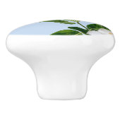 Elegante Magnoliabloesem Keramische Knop (Zijkant)