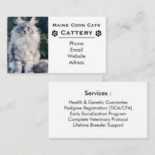 Elegante Maine Coon Fokkerij & Professionele Fokke Visitekaartje