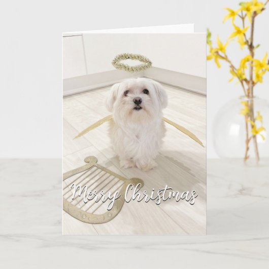 Elegante Maltezer engel kerstkaart Kaart (Gele Bloem)