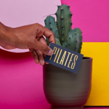 Elegante marineblauwe en gouden pilates