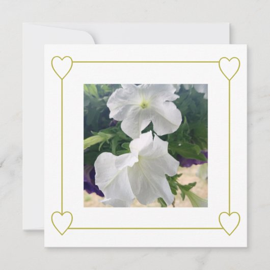 Elegante minimalistische witte en gouden trouwfoto aankondiging (Voorkant)