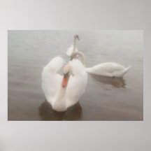Elegante moderne aquarellen kunst zwanen op de Don