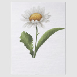 Elegante moderne dazie bloem tissuepapier