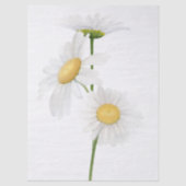 Elegante moderne dazie bloem tissuepapier (Voorkant)