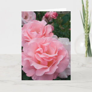 Elegante moderne roze rozen bloemen foto beterscha kaart