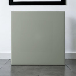 Elegante monochrome groene moderne speelkamer tegeltje