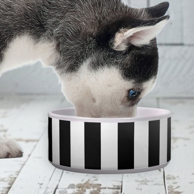 Elegante Mooie Gestreepte Keramische Kom voor Huis (elegant cute black and white stripe bowl for dogs)