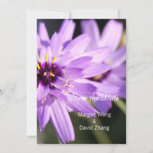 Elegante, mooie paarse madeliefjesbloem bewaar de save the date