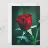 Elegante mooie Roos bruiloft uitnodiging (Achterkant)