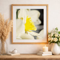 Elegante Narcis Bloemfotografie door Meggidoo