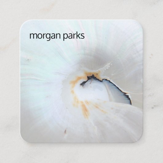 Elegante Nautilus Shell Tropical Vierkante Visitekaartje (Voorkant)