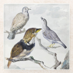 Elegante Neutrale Toon Vogels op Tak Kunst Glazen Onderzetter
