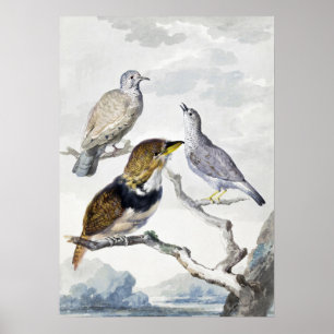 Elegante Neutrale Toon Vogels op Tak Kunst Poster