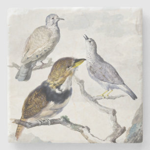 Elegante Neutrale Toon Vogels op Tak Kunst Stenen Onderzetter