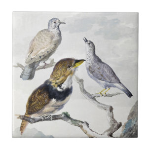 Elegante Neutrale Toon Vogels op Tak Kunst Tegeltje