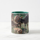 Elegante Nyala – Afrikaanse Natuur Mok (Midden)