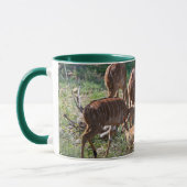 Elegante Nyala – Afrikaanse Natuur Mok (Links)