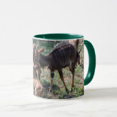 Elegante Nyala – Afrikaanse Natuur Mok (Voorkant rechts)