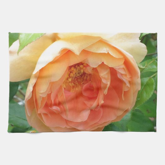 Elegante Oranje Blos Roos Theedoek (Horizontaal)