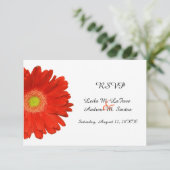 Elegante Oranje Gerbera Tulp Trouw RSVP Kaart (Staand voorkant)