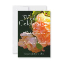 Elegante oranje lichte perzik Rozen