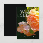 Elegante oranje lichte perzik Rozen Save The Date (Voorkant / Achterkant)