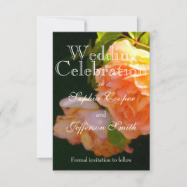 Elegante oranje lichte perzik Rozen Save The Date
