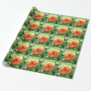 Elegante Oranje Rozen Cadeaupapier