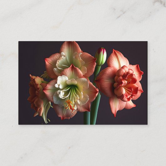 Elegante Oranje witte Amaryllis bloemist Visitekaartje (Achterkant)