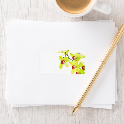 Elegante orchidee bruiloft of algemene blanco etiket (Insitu)