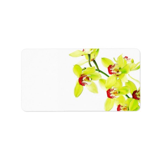 Elegante orchidee bruiloft of algemene blanco etiket (Voorkant)