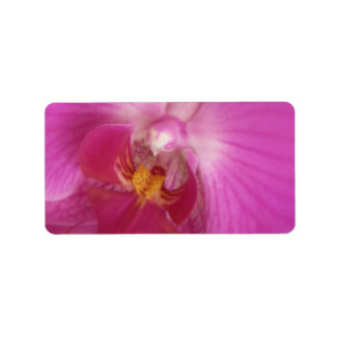 Elegante orchidee bruiloft of algemene blanco etiket