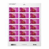 Elegante orchidee bruiloft of algemene blanco etiket (Full Sheet)