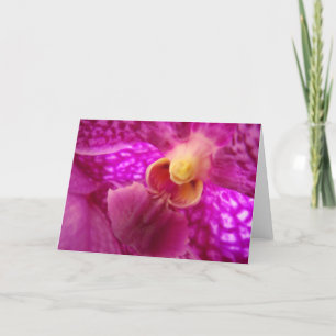 Elegante orchidee grafische foto kaart