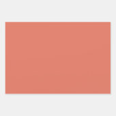 Elegante OTW Gift Wrapping Sheets Inpakpapier Vel (Voorkant 2)