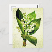 Elegante Oude-Leliebloemen Briefkaart (Voorkant / Achterkant)