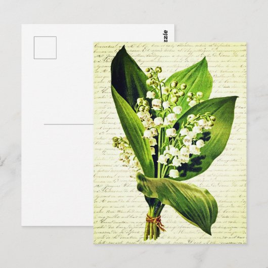 Elegante Oude lelietje-van-dalen Bloemen Briefkaart (Voorkant / Achterkant)
