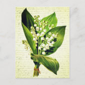 Elegante Oude lelietje-van-dalen Bloemen Briefkaart (Voorkant)