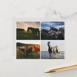 ELEGANTE PAARDEN ANSICHTKAART BRIEFKAART