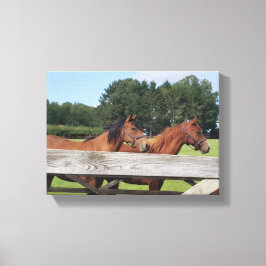Elegante paarden in de natuur canvas afdruk