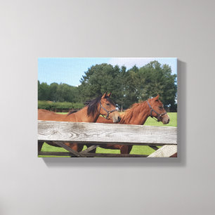 Elegante paarden in de natuur canvas afdruk