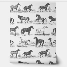 Elegante  paardenrassen Patroon Zwart Wit Behang