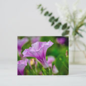 Elegante Paarse bloei in focus Briefkaart (Staand voorkant)