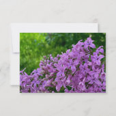 Elegante paarse bloemen Lila Save the Date (Achterkant)