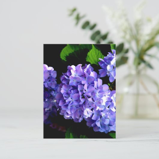 Elegante paarse bloemenblauwe paarse hortensia's briefkaart (Staand voorkant)